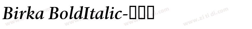 Birka BoldItalic字体转换
